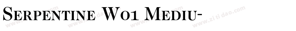 Serpentine W01 Mediu字体转换